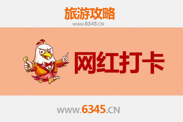 重庆石柱网红打卡地全攻略：探秘黄水森林公园与千野草场